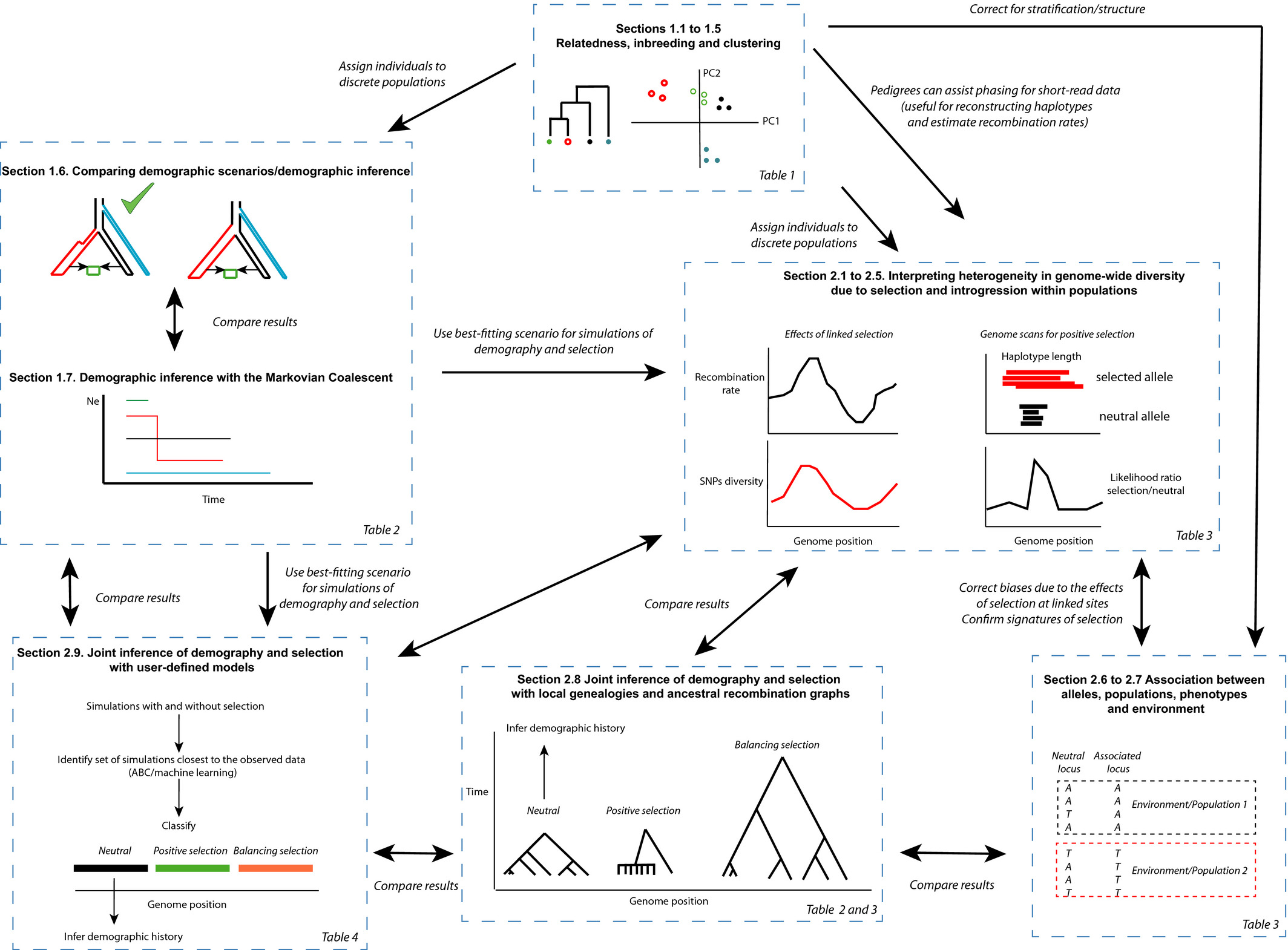 A summary of an ideal popgen analytical pipeline